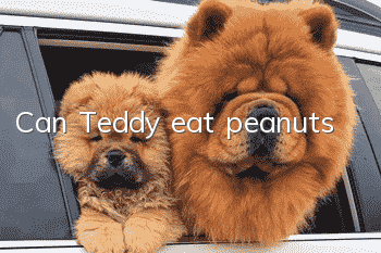 Can Teddy eat peanuts?