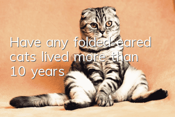 Have any folded-eared cats lived more than 10 years?