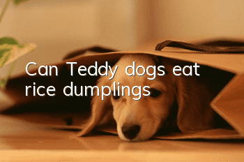 Can Teddy dogs eat rice dumplings?