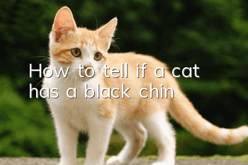 How to tell if a cat has a black chin