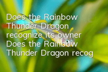 Does the Rainbow Thunder Dragon recognize its owner? Does the Rainbow Thunder Dragon recognize its owner?