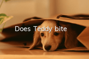 Does Teddy bite?
