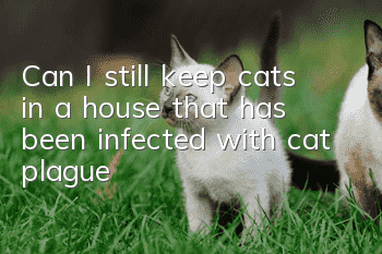 Can I still keep cats in a house that has been infected with cat plague?