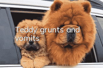 Teddy grunts and vomits