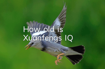 How old is Xuanfeng's IQ?