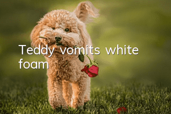 Teddy vomits white foam