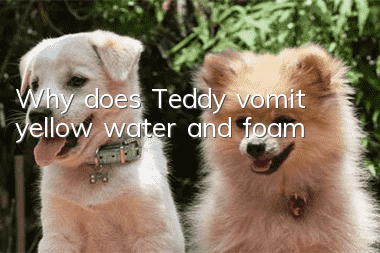 Why does Teddy vomit yellow water and foam?
