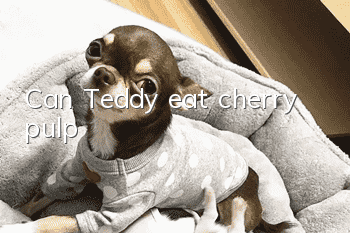 Can Teddy eat cherry pulp?
