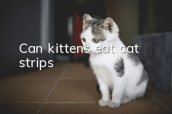 Can kittens eat cat strips?