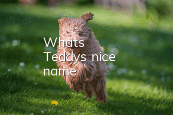 What's Teddy's nice name?