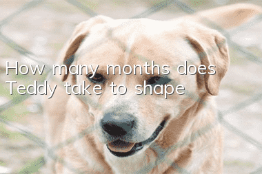 How many months does Teddy take to shape?