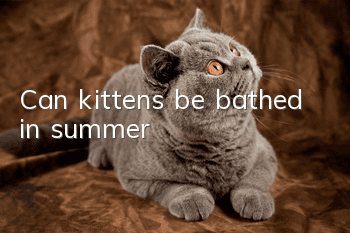 Can kittens be bathed in summer?