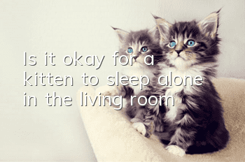 Is it okay for a kitten to sleep alone in the living room?