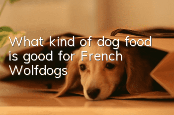 What kind of dog food is good for French Wolfdogs?
