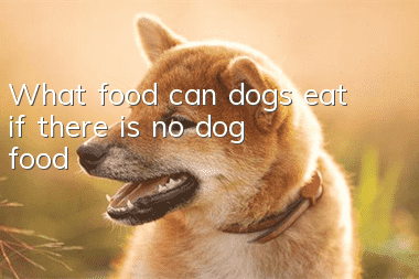 What food can dogs eat if there is no dog food?