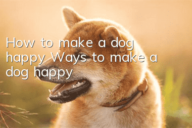 How to make a dog happy? Ways to make a dog happy!