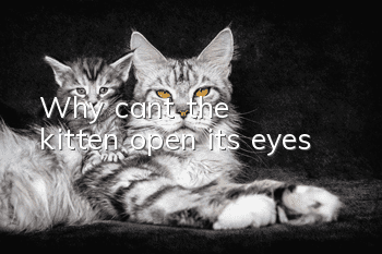 Why can't the kitten open its eyes?
