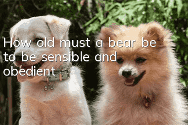 How old must a bear be to be sensible and obedient?