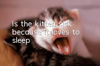 Is the kitten sick because it loves to sleep?