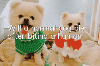 Will a normal dog die after biting a human?