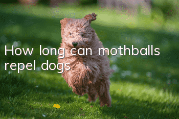 How long can mothballs repel dogs?
