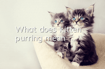 What does kitten purring mean?
