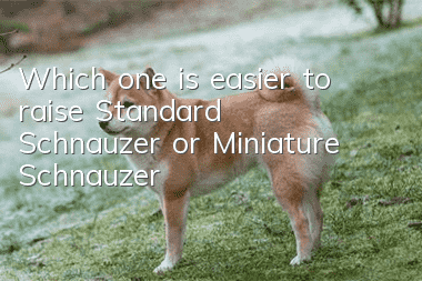 Which one is easier to raise, Standard Schnauzer or Miniature Schnauzer?