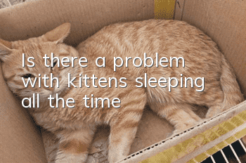 Is there a problem with kittens sleeping all the time?