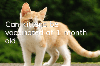 Can kittens be vaccinated at 1 month old?