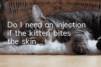 Do I need an injection if the kitten bites the skin?