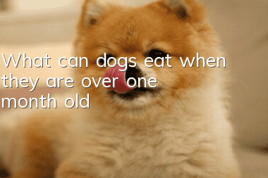 What can dogs eat when they are over one month old?