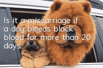Is it a miscarriage if a dog bleeds black blood for more than 20 days?