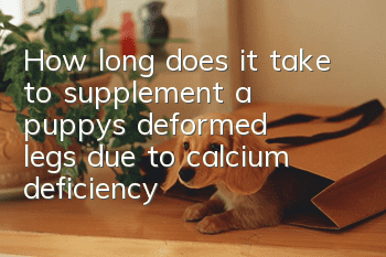 How long does it take to supplement a puppy's deformed legs due to calcium deficiency?