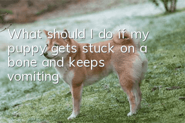 What should I do if my puppy gets stuck on a bone and keeps vomiting?