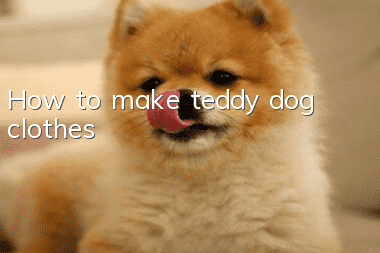 How to make teddy dog clothes