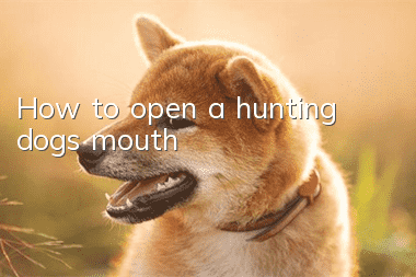 How to open a hunting dog's mouth