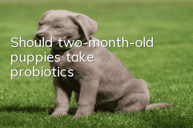 Should two-month-old puppies take probiotics?