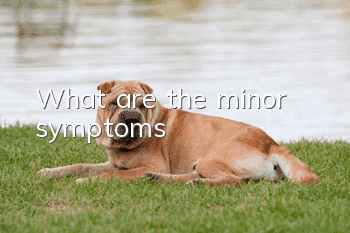 What are the minor symptoms?