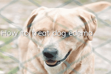 How to treat dog edema