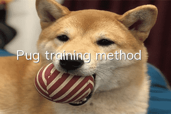 Pug training method