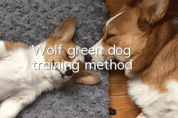 Wolf green dog training method