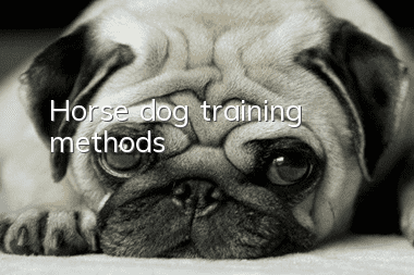 Horse dog training methods
