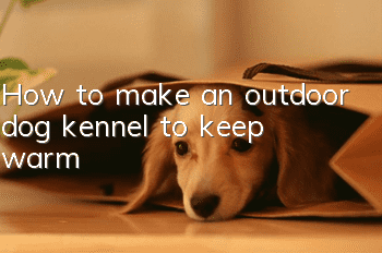 How to make an outdoor dog kennel to keep warm