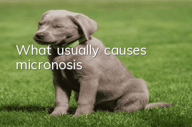 What usually causes micronosis?