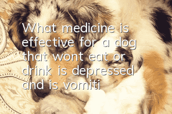 What medicine is effective for a dog that won’t eat or drink, is depressed, and is vomiting?