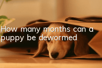 How many months can a puppy be dewormed?