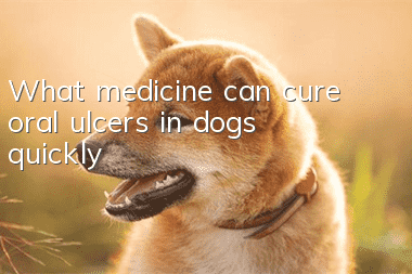 What medicine can cure oral ulcers in dogs quickly?