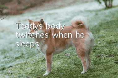 Teddy's body twitches when he sleeps