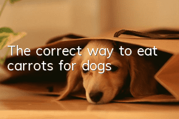 The correct way to eat carrots for dogs