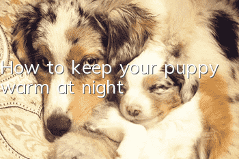 How to keep your puppy warm at night